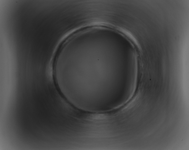 X0000100921024200807081146