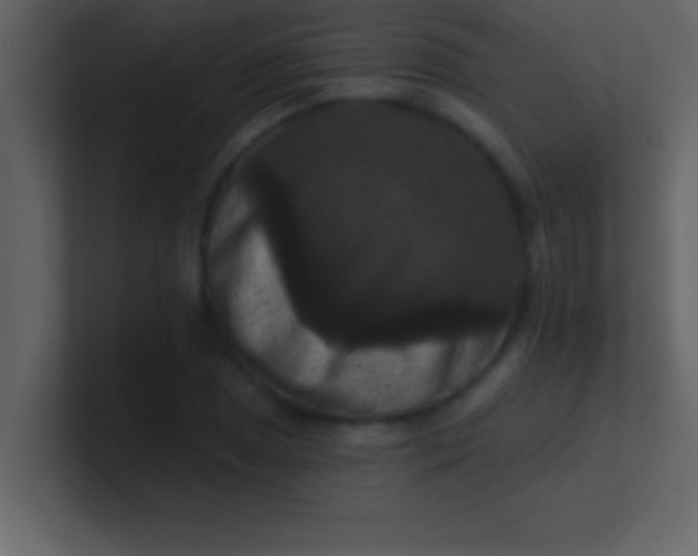 X0000100921025200807081146