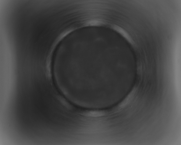 X0000100921026200807081146