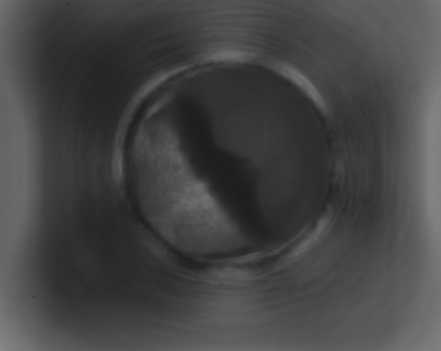 X0000100921027200807081146