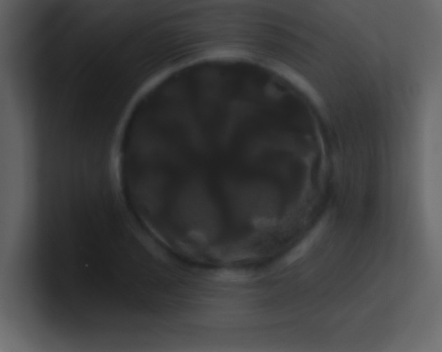 X0000100921029200807081146