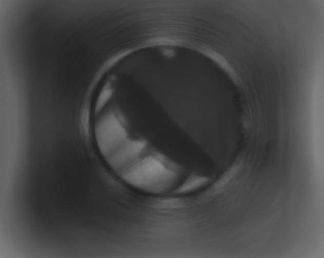 X0000100921030200807081146