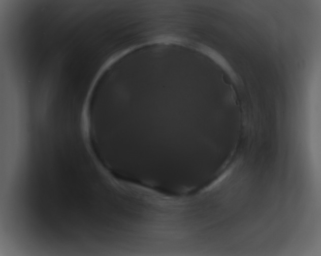 X0000100921032200807081146