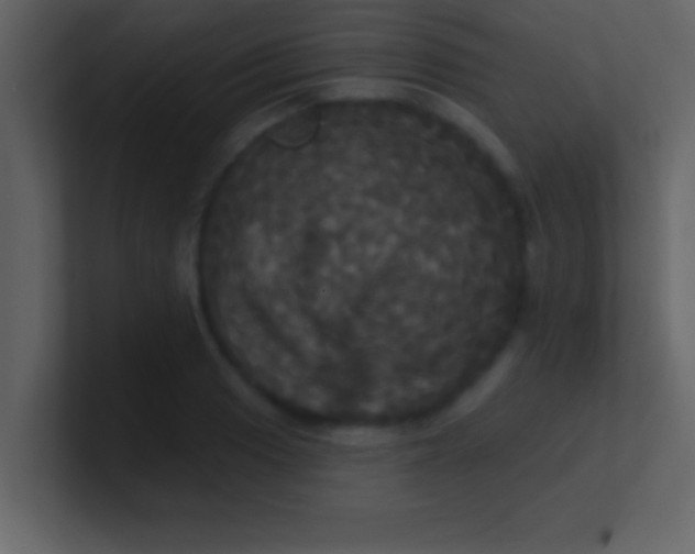 X0000100921033200807081146