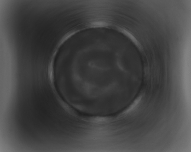 X0000100921034200807081146