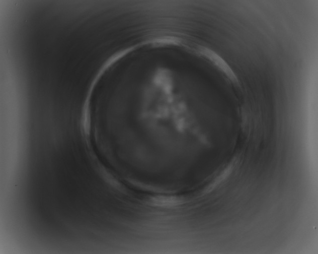 X0000100921036200807081146