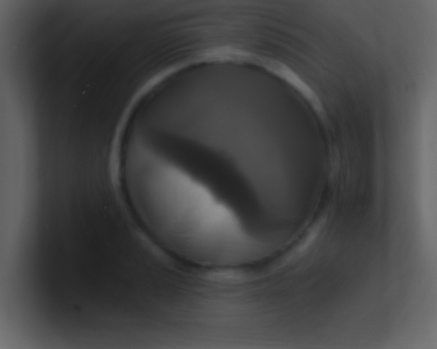 X0000100921037200807081146