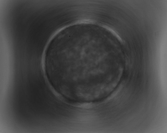 X0000100921038200807081146