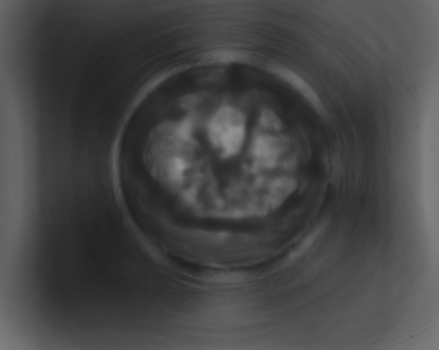 X0000100921039200807081146