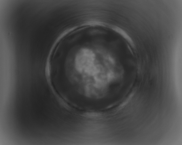 X0000100921040200807081146