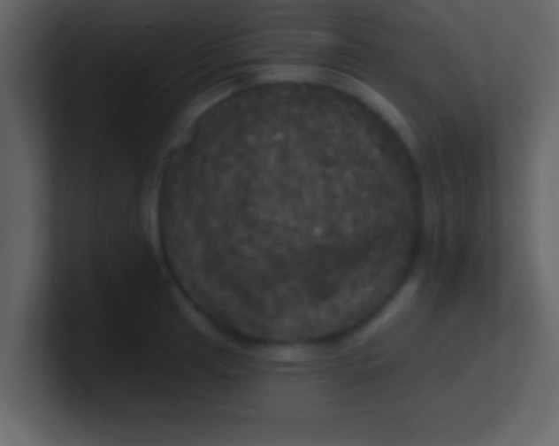 X0000100921041200807081146