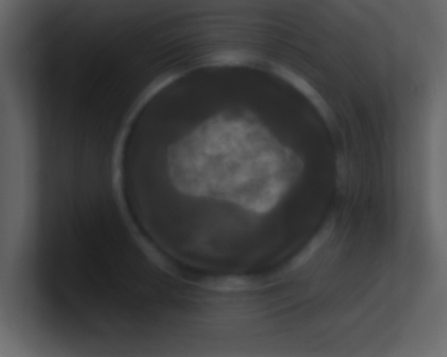 X0000100921042200807081146