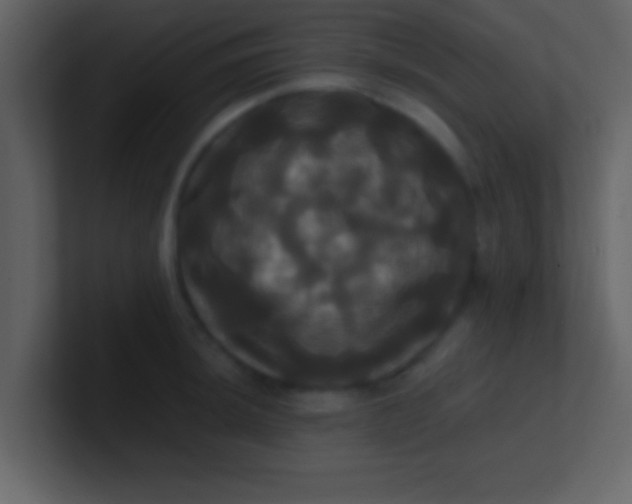 X0000100921044200807081146