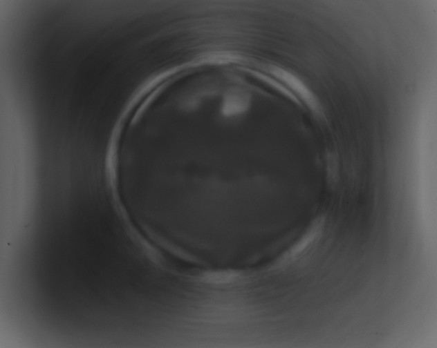 X0000100921046200807081146