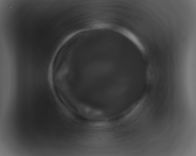 X0000100921047200807081146