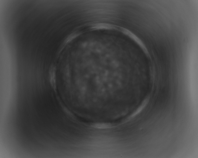 X0000100921049200807081146