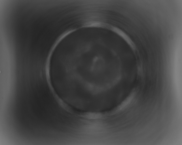 X0000100921050200807081146