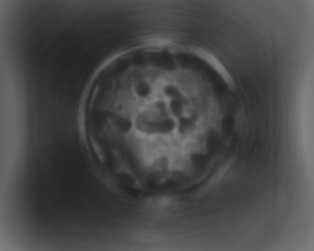 X0000100921051200807081146