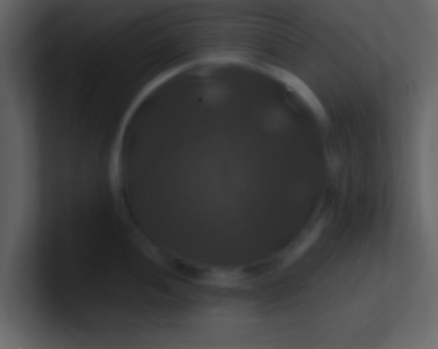 X0000100921052200807081147