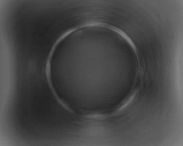 X0000100921053200807081147