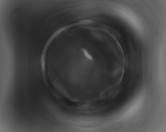 X0000100921054200807081147