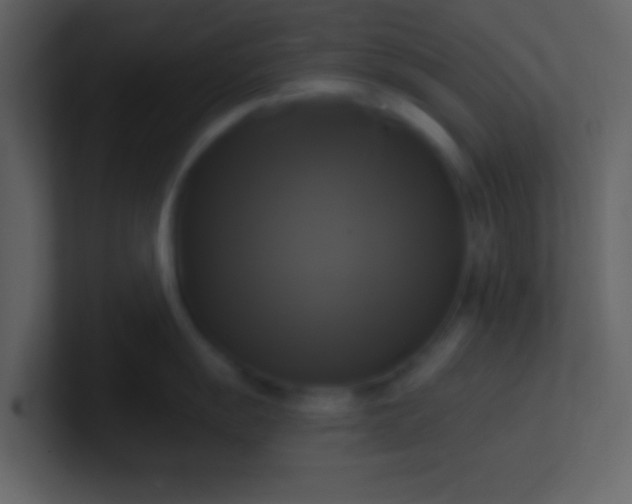 X0000100921055200807081147