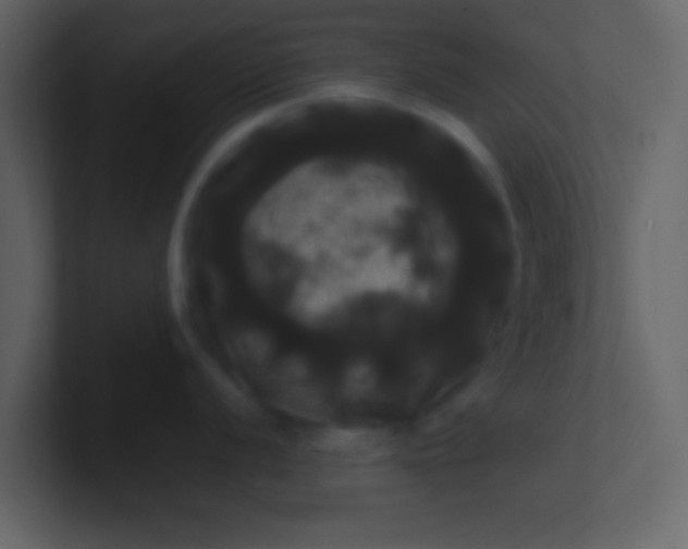 X0000100921056200807081147