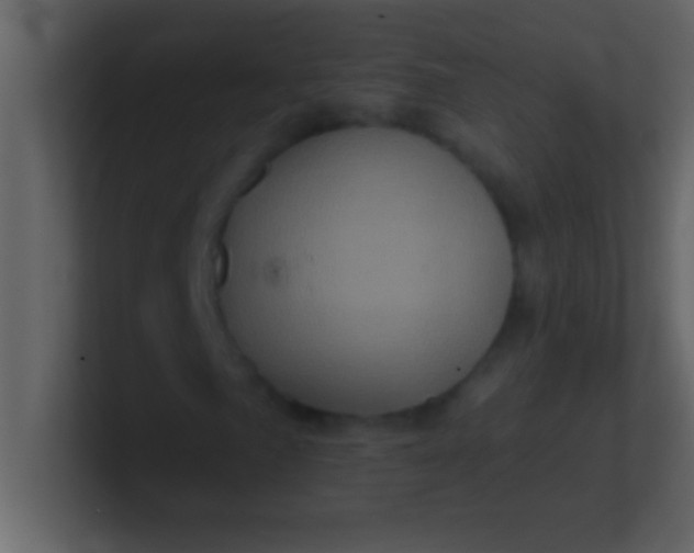 X0000100921057200807081146