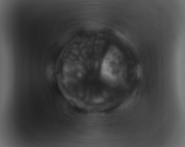 X0000100921059200807081146