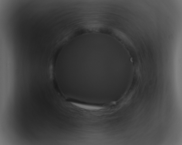 X0000100921060200807081146