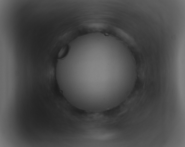 X0000100921061200807081146