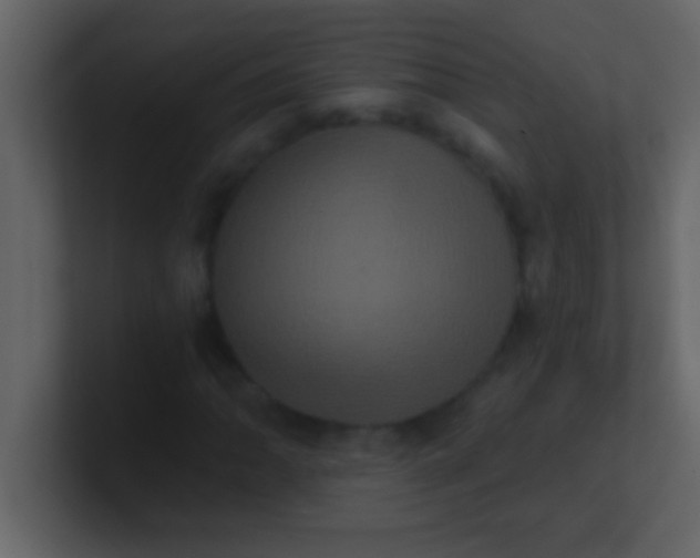 X0000100921062200807081146