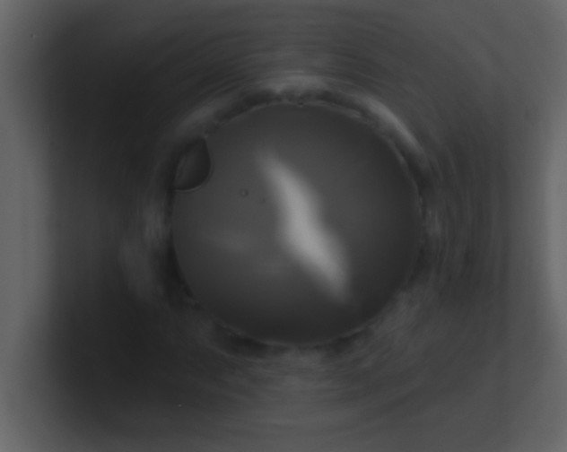 X0000100921063200807081146