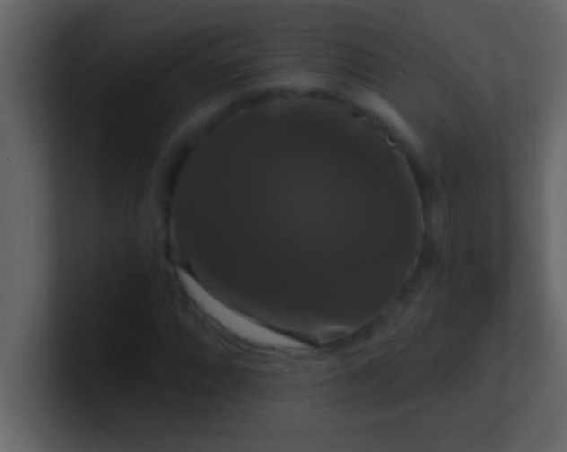 X0000100921064200807081146