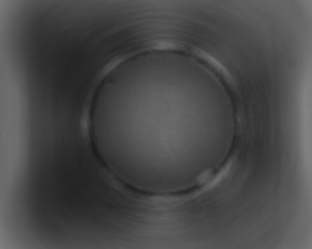 X0000100921065200807081146