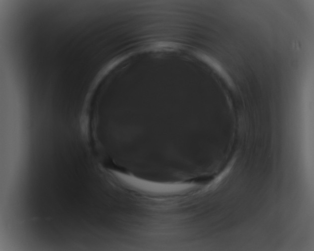 X0000100921066200807081146