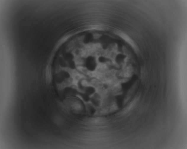 X0000100921067200807081146