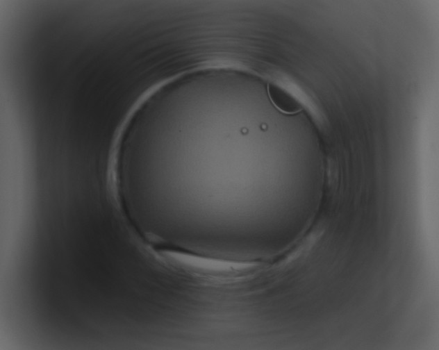 X0000100921068200807081146