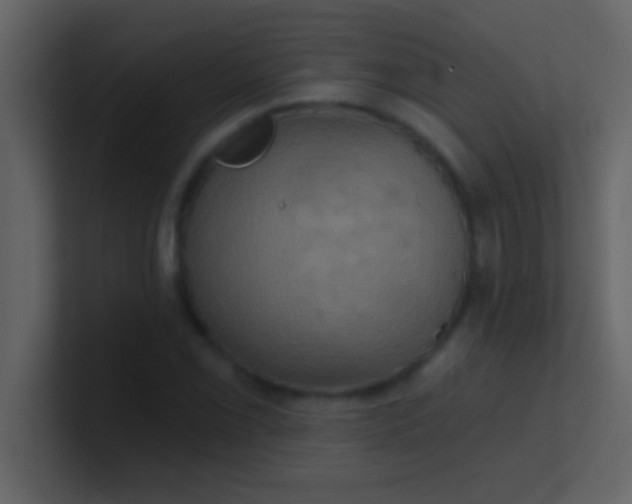 X0000100921069200807081146