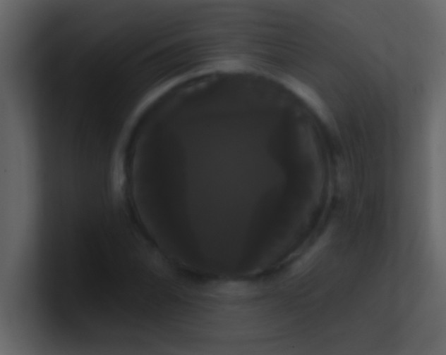 X0000100921070200807081146