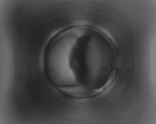 X0000100921071200807081146