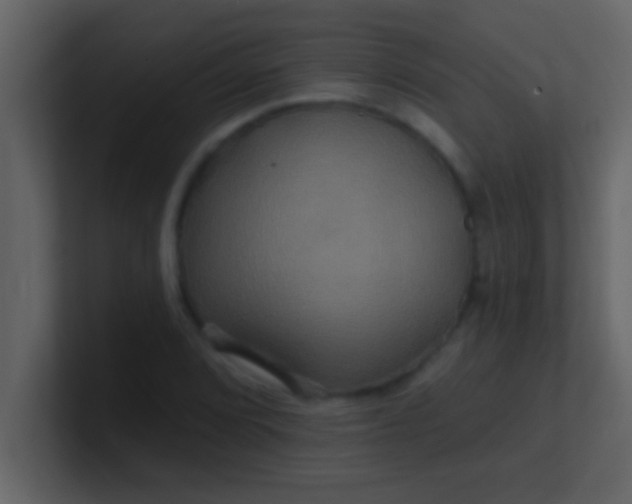 X0000100921072200807081146