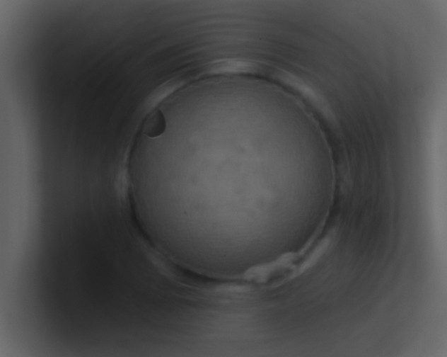 X0000100921073200807081146