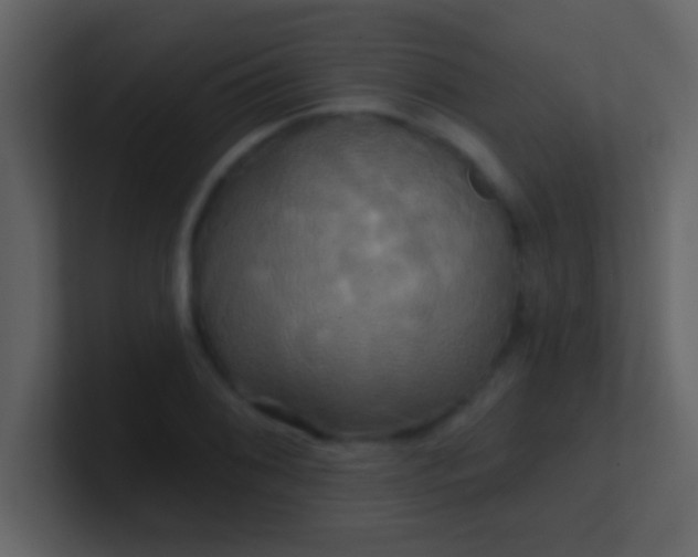 X0000100921076200807081146