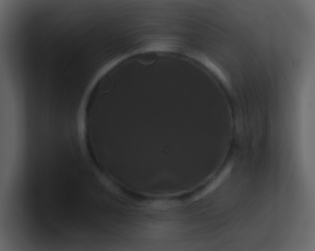 X0000100921077200807081146