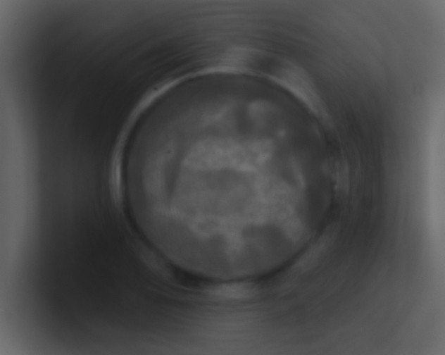 X0000100921078200807081146