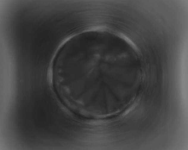 X0000100921079200807081146