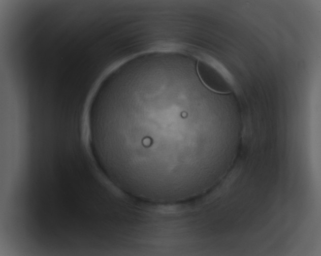 X0000100921080200807081146