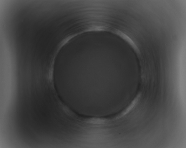 X0000100921081200807081146