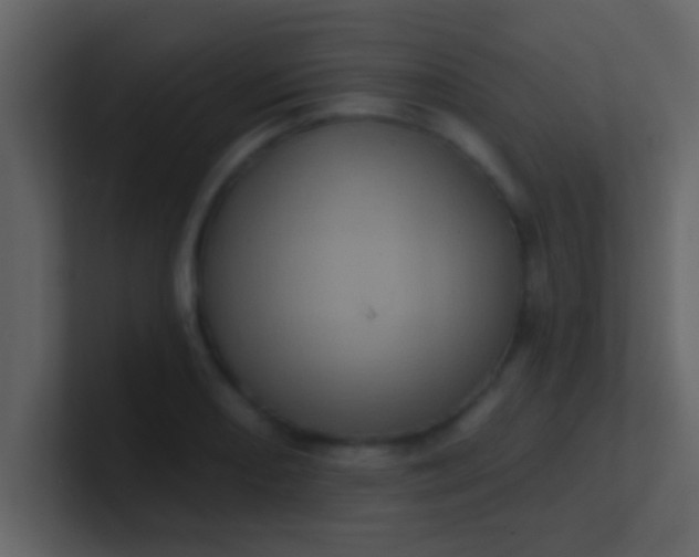 X0000100921082200807081146